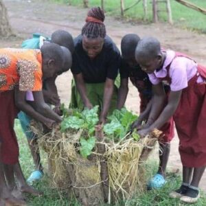 <strong>UGANDA</strong> <br/>Training and skills for 40 rural primary school students